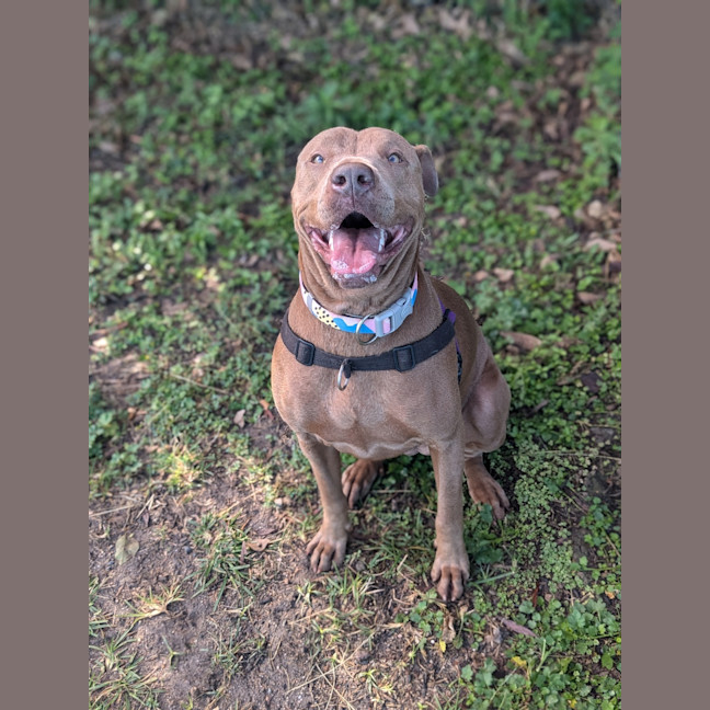 Photo of Molly