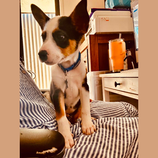 Photo of Johnny
