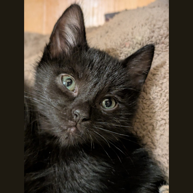 Photo of Tiny
