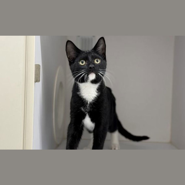 Photo of Simon