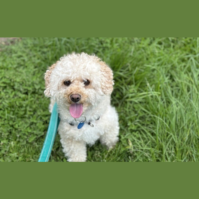 Photo of Leila