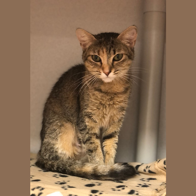 Photo of Lily