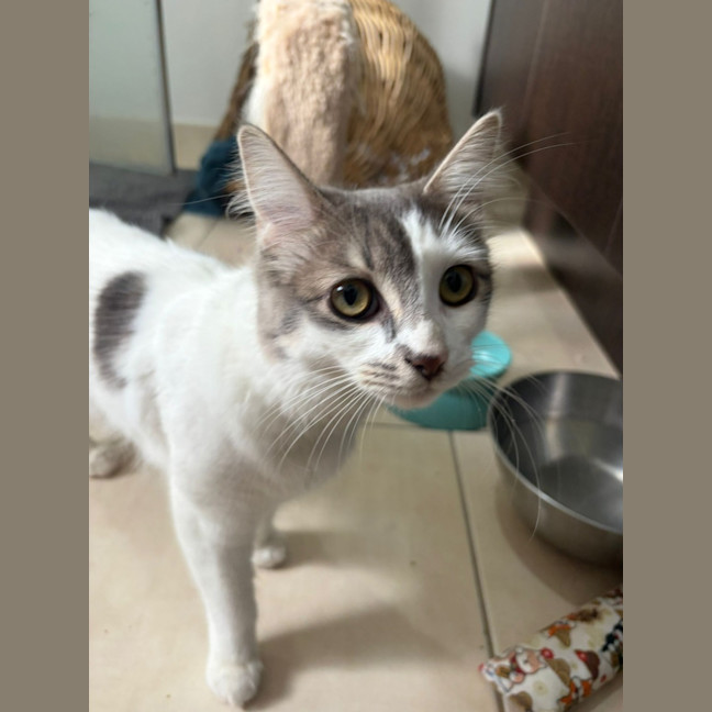 Photo of Susie Q