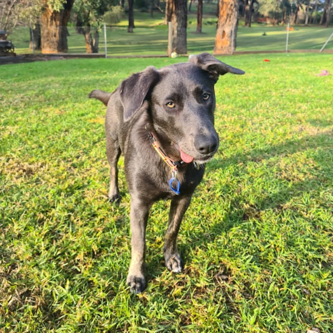 Photo of Tilly