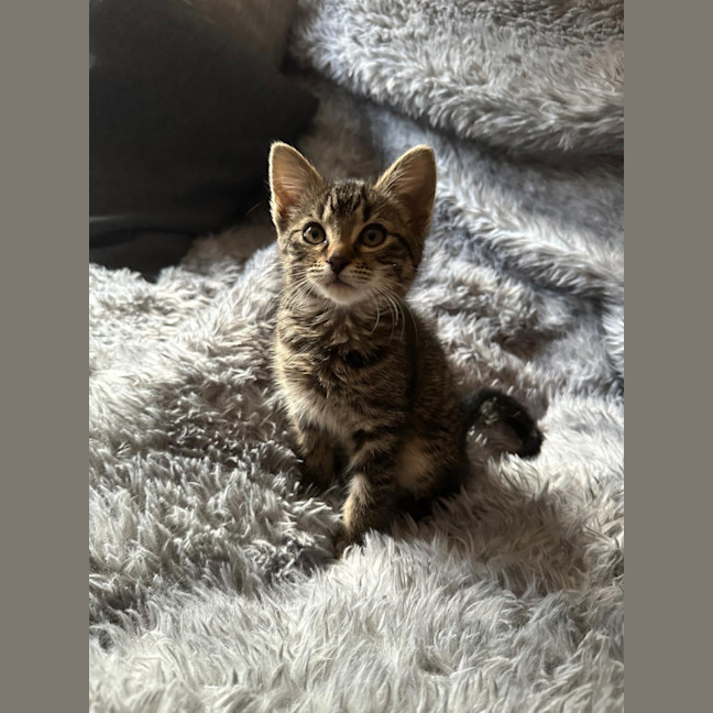 Photo of Tabitha