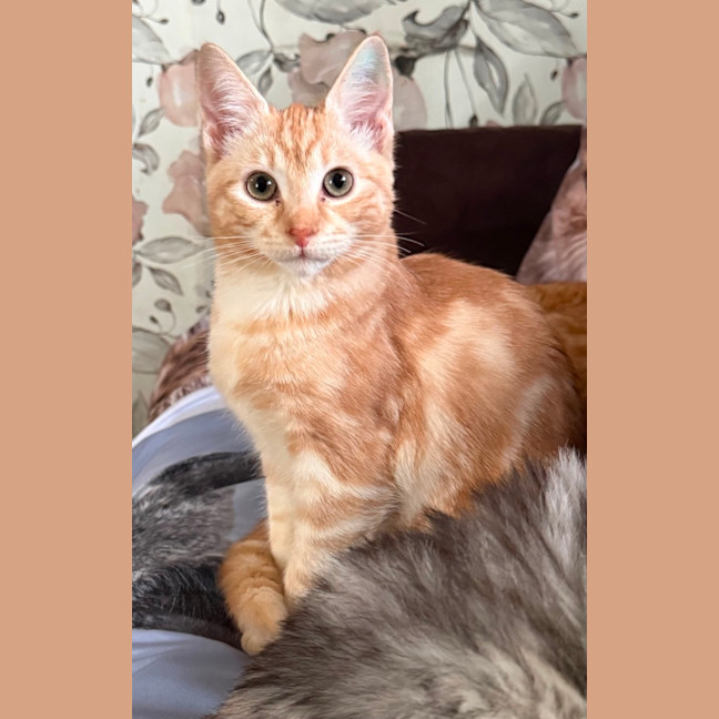 Photo of Blanche