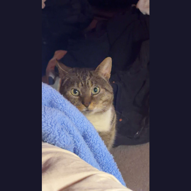 Photo of Tom