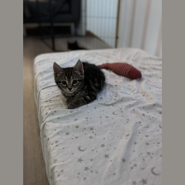 Photo of George   Reviewing Applications