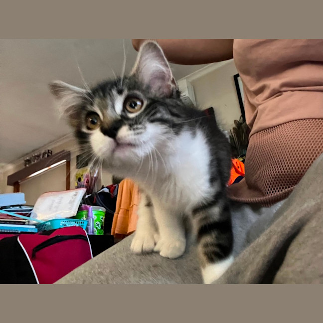 Photo of Bohdi & Lottie