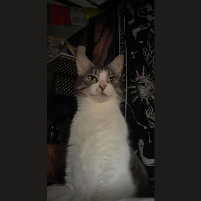 Photo of Belle