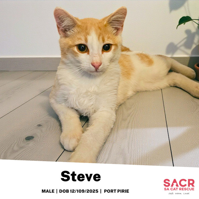 Photo of Steve