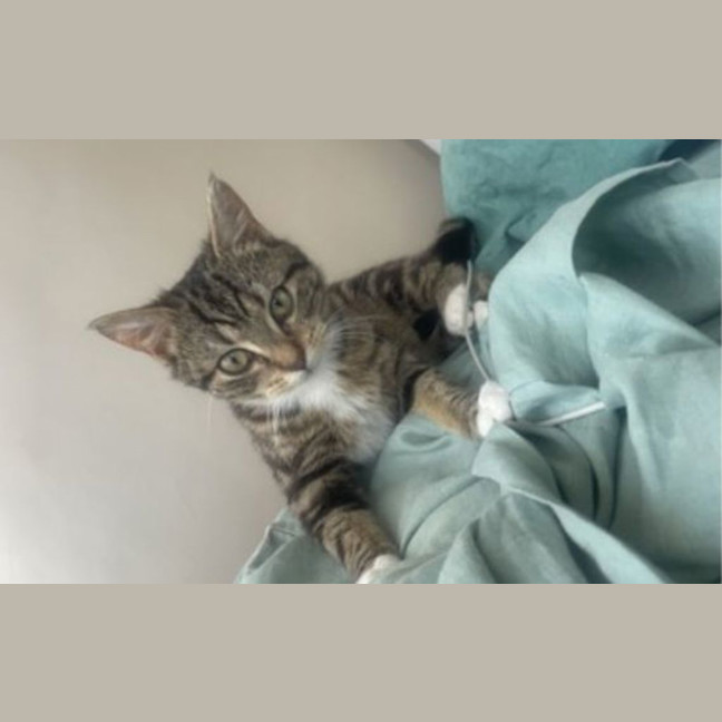 Photo of Nora