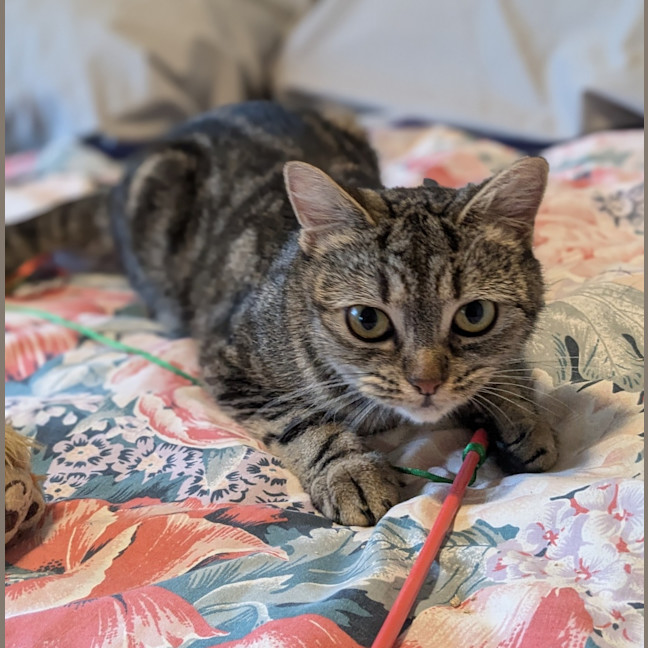 Photo of Mabel