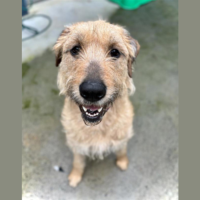 Photo of Penny