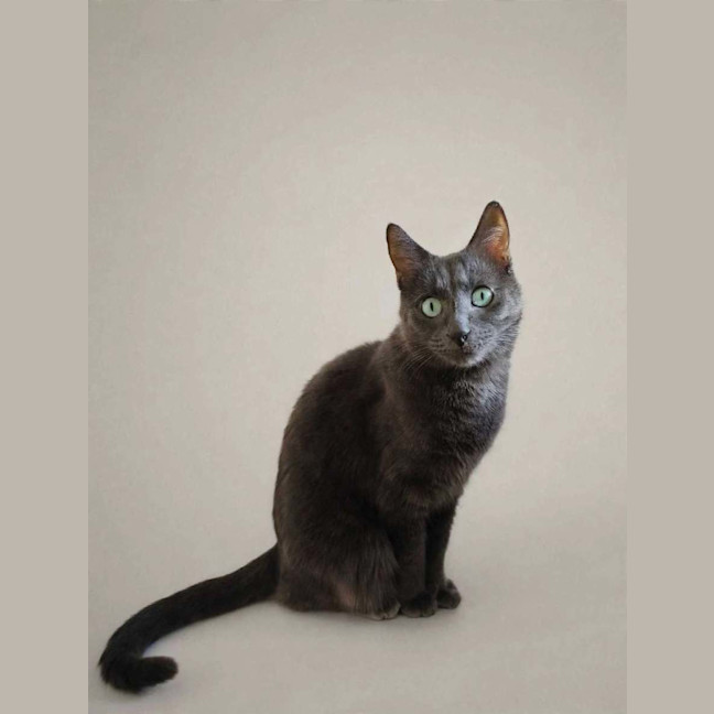 Photo of Max
