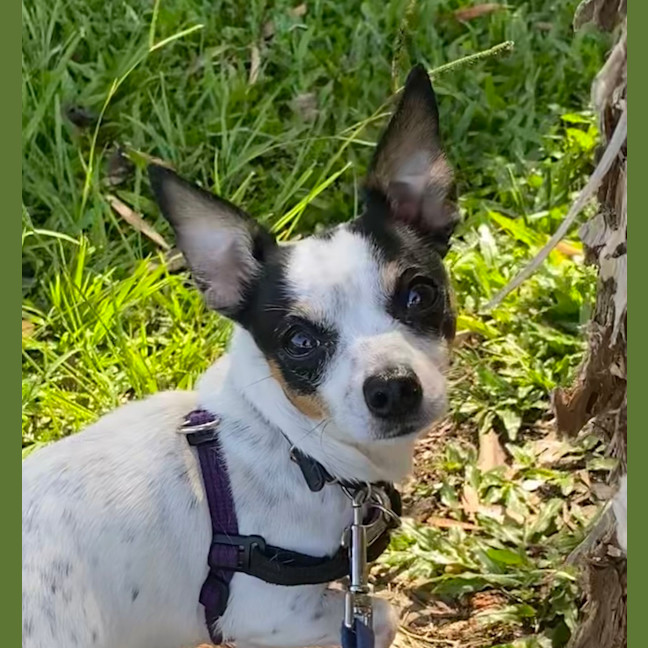 Photo of Doug