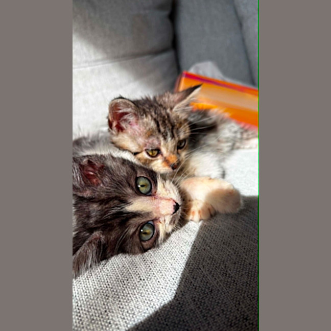 Photo of Ivy