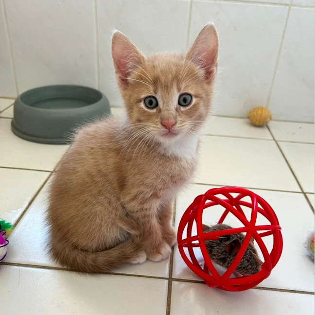 Photo of Crunchy