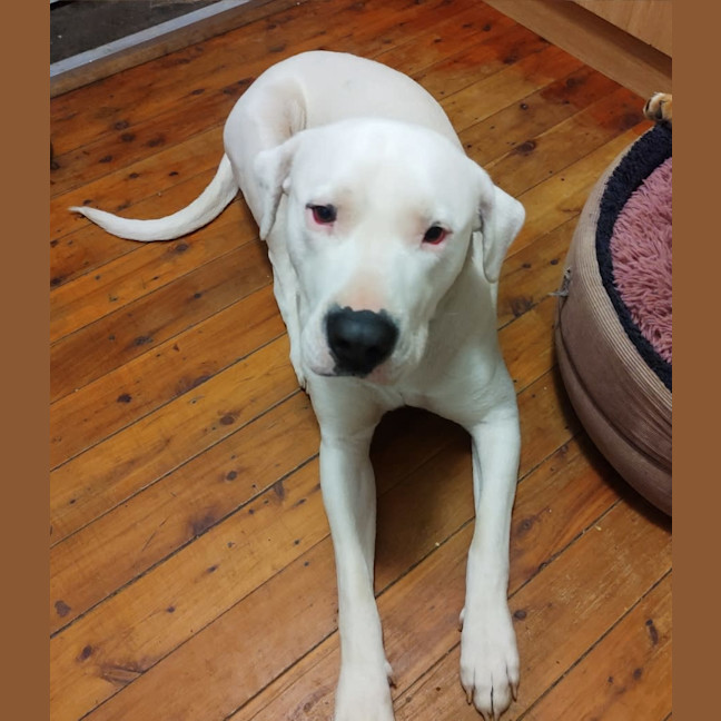 Photo of Roly