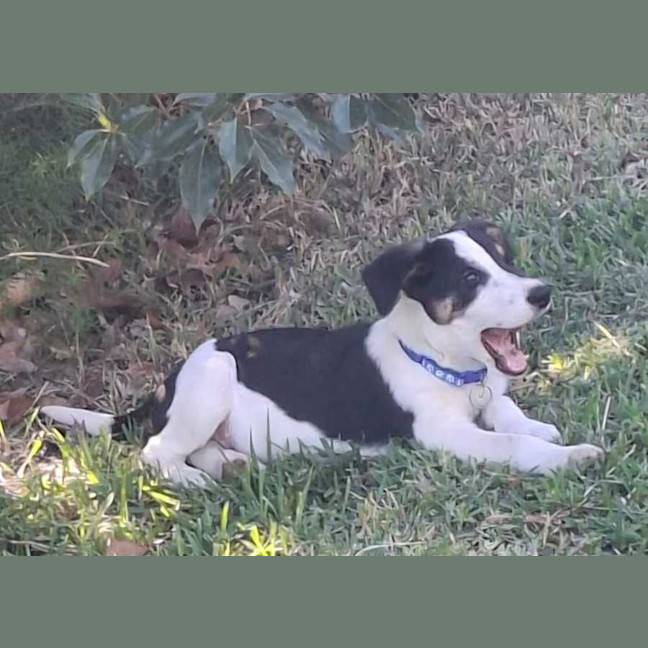 Photo of Connor