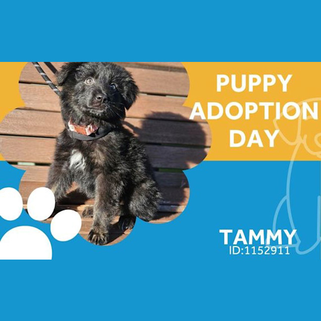 Photo of Tammy