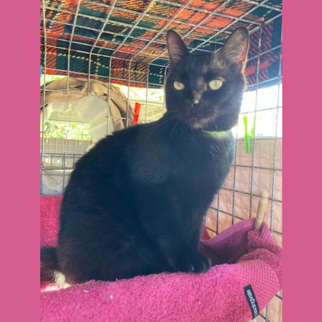 Photo of Luca & Smudge