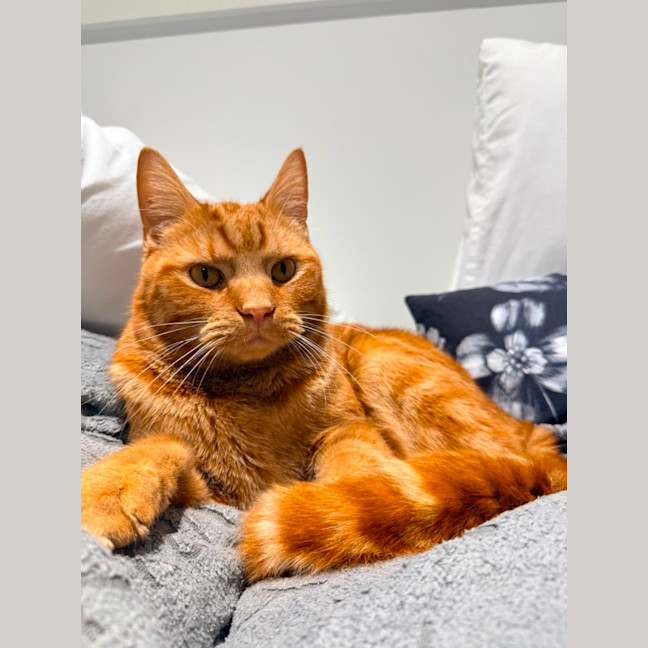 Photo of Sebastian