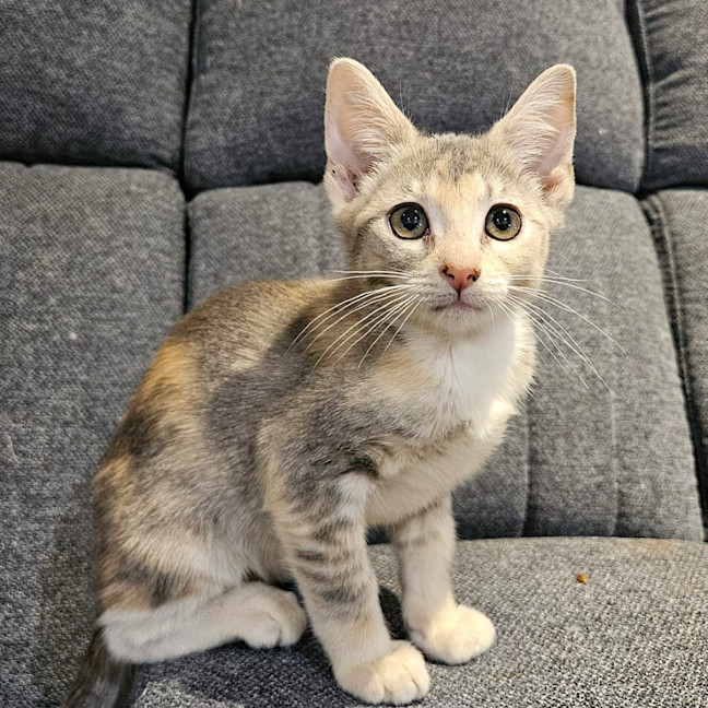 Photo of Isla