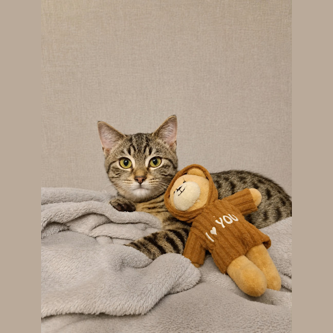Photo of Callie
