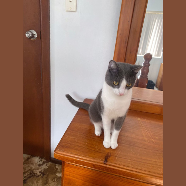 Photo of Jasper