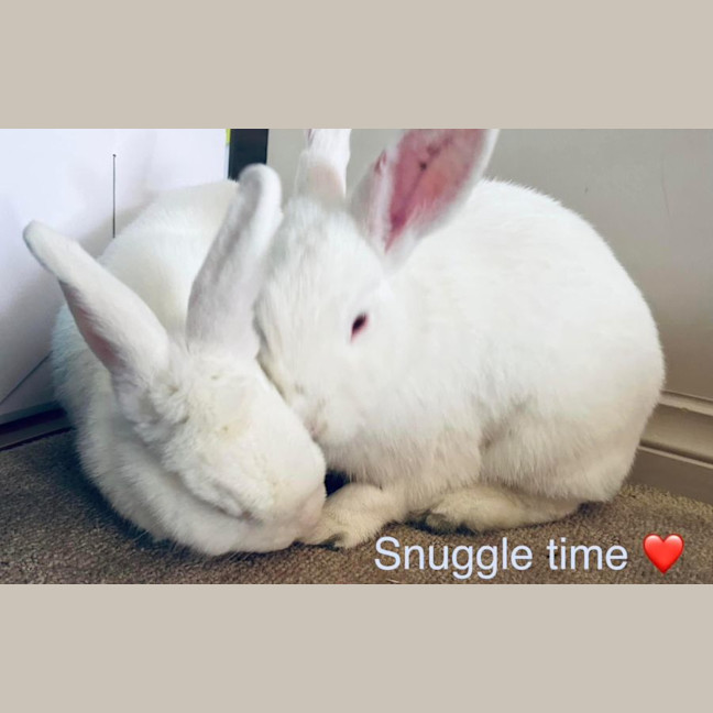 Photo of Milkshake And Tilly