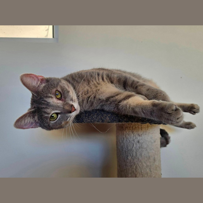 Photo of Boo 