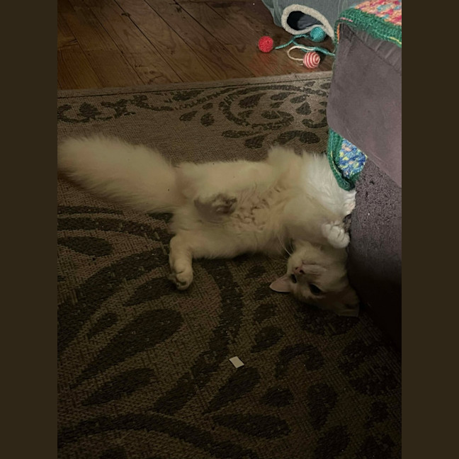 Photo of Dj