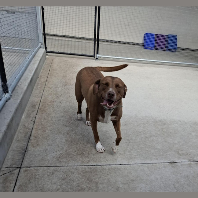 Photo of Carrol 71/2026