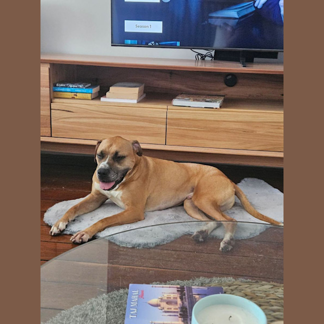 Photo of Bowie