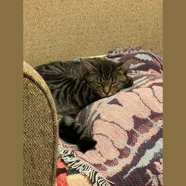 Photo of Essie