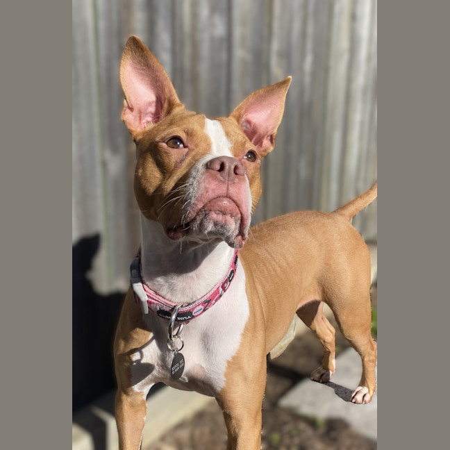 Photo of Soleil