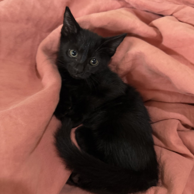 Photo of Mr. Squiggles