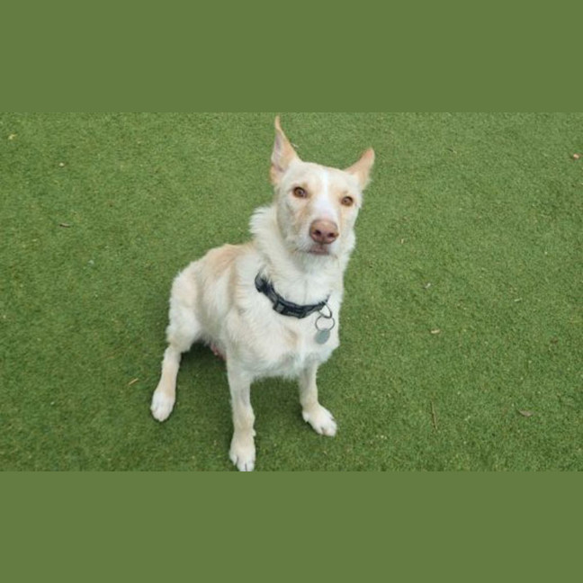 Photo of Bonnie