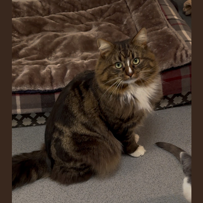 Photo of Harold 