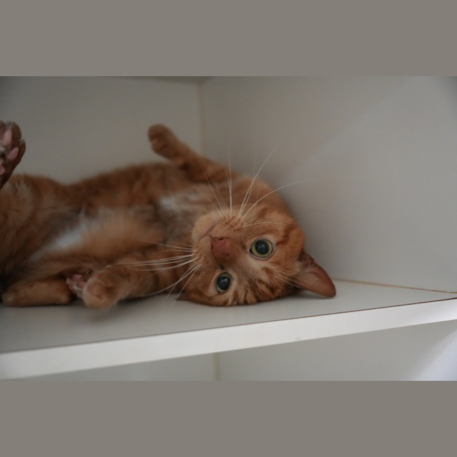 Photo of Dottie