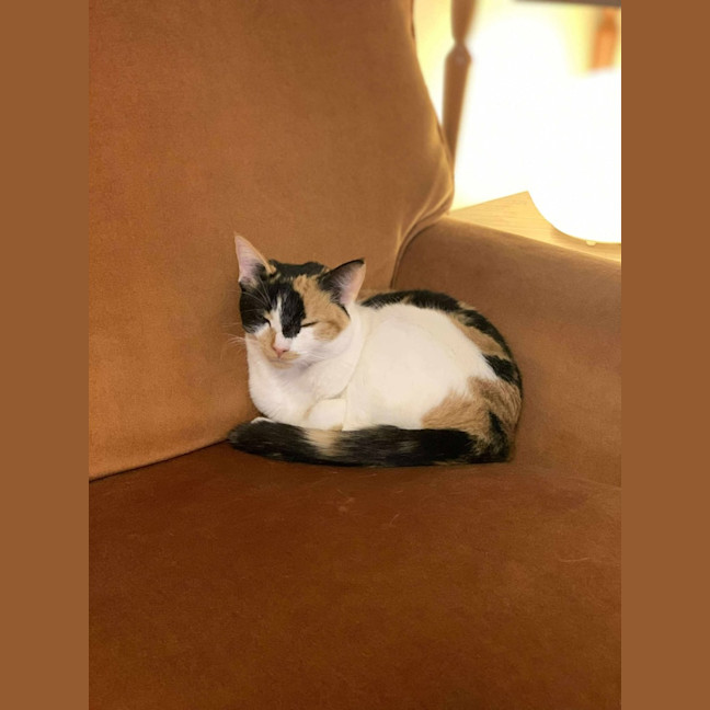 Photo of Maia   Located In Preston