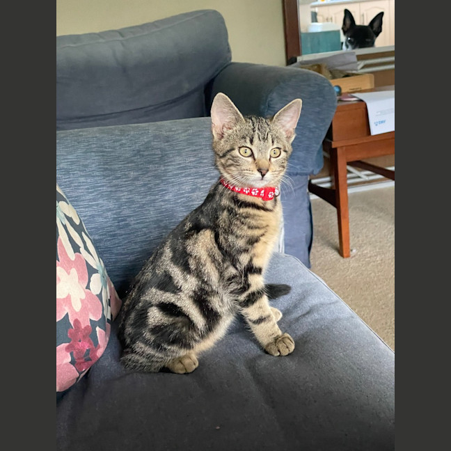 Photo of Dorothy