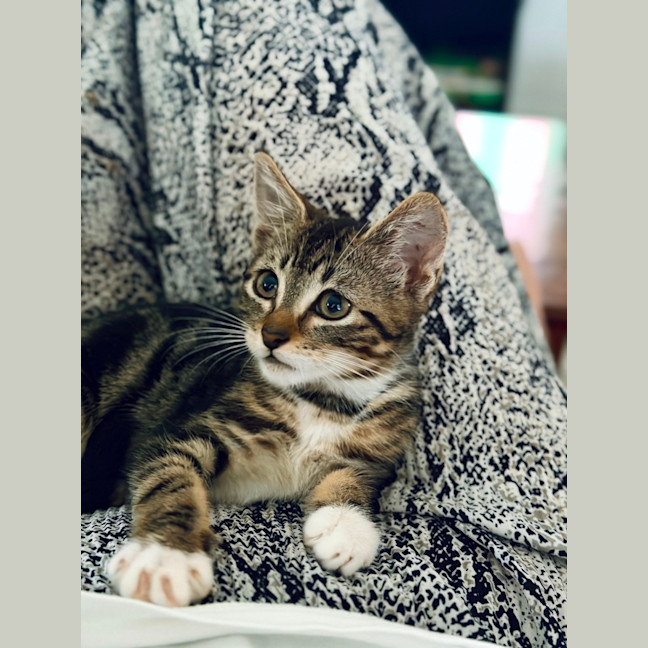 Photo of Carmela