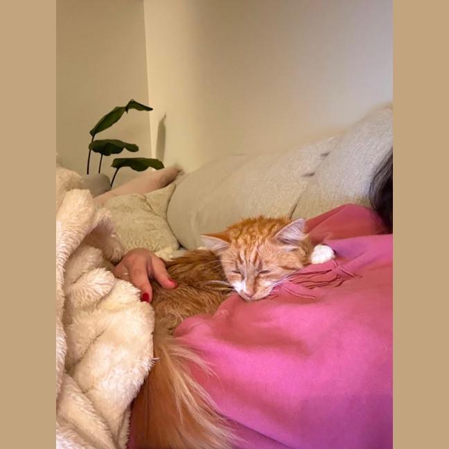 Photo of Sunny   Your Ray Of Sunshine