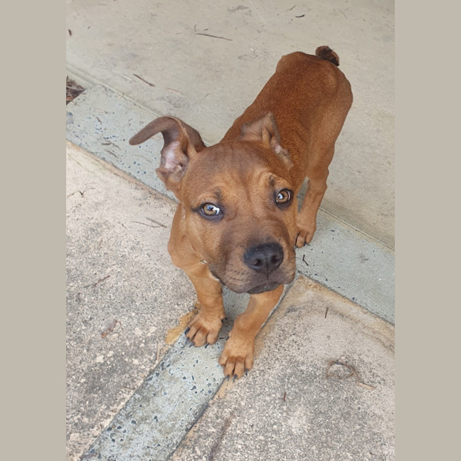 Photo of Vander