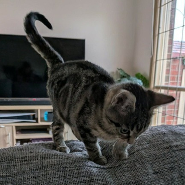 Photo of Tabitha