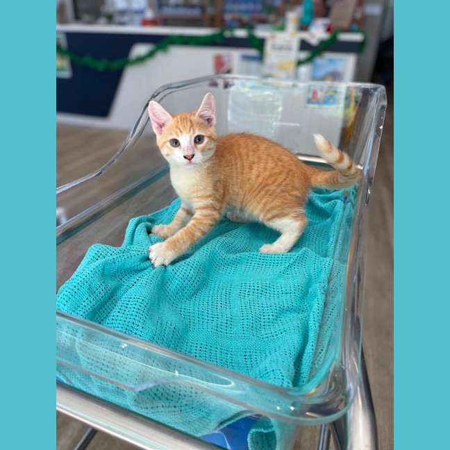 Photo of Marm