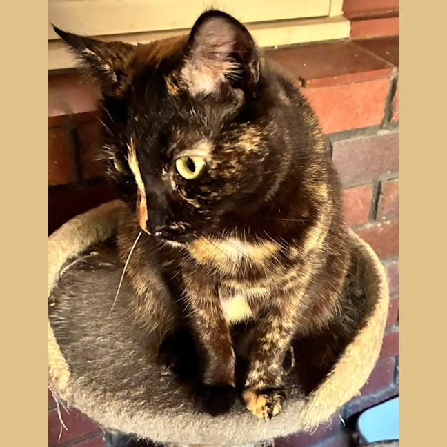 Photo of Hazel Reba