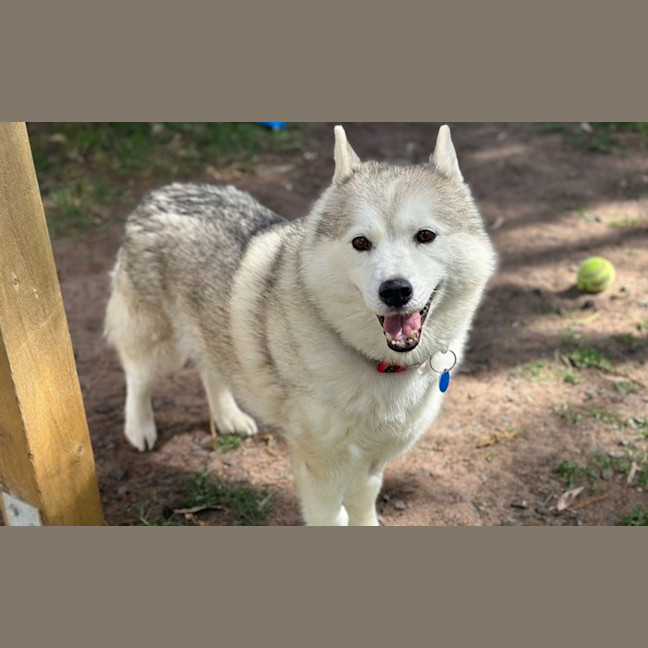 Photo of Skylar